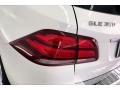 Polar White - GLE 350 Photo No. 26