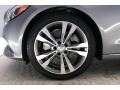 Palladium Silver Metallic - C 300 Sedan Photo No. 8