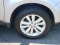 Ice Silver Metallic - Forester 2.5 X Premium Photo No. 20
