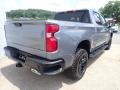 2020 Satin Steel Metallic Chevrolet Silverado 1500 LT Trail Boss Crew Cab 4x4  photo #7