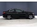 Jet Black - 2 Series 230i Coupe Photo No. 14