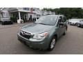 2015 Jasmine Green Metallic Subaru Forester 2.5i  photo #3