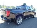 Onyx Black - Sierra 1500 Denali Crew Cab 4WD Photo No. 5