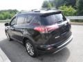 2018 Black Toyota RAV4 Limited AWD Hybrid  photo #14