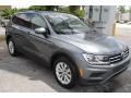 Platinum Gray Metallic - Tiguan S Photo No. 2