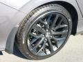 Modern Steel Metallic - Civic Si Sedan Photo No. 25