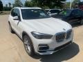 Alpine White - X5 xDrive40i Photo No. 1