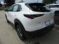 Snowflake White Pearl Mica - CX-30 AWD Photo No. 5