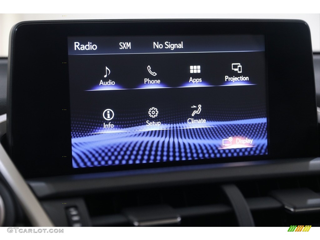 2020 Lexus NX 300 F Sport AWD Controls Photo #138894800