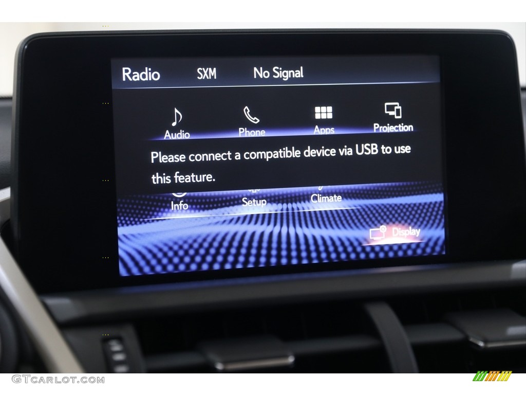2020 Lexus NX 300 F Sport AWD Controls Photo #138894875