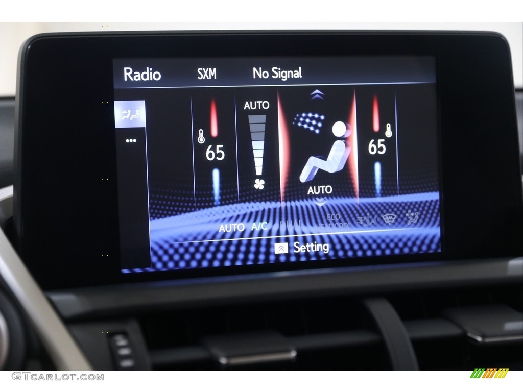2020 Lexus NX 300 F Sport AWD Controls Photo #138894926
