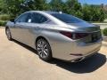 Atomic Silver - ES 300h Photo No. 4