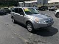 Spark Silver Metallic - Forester 2.5 X Photo No. 4