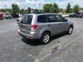 Spark Silver Metallic - Forester 2.5 X Photo No. 6