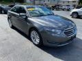 Magnetic 2016 Ford Taurus Limited Exterior