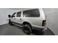 2005 Silver Birch Metallic Ford Excursion XLT 4x4  photo #9