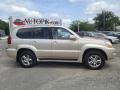 Savannah Beige Metallic - GX 470 Photo No. 2