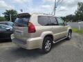 Savannah Beige Metallic - GX 470 Photo No. 3