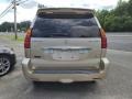 Savannah Beige Metallic - GX 470 Photo No. 4