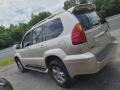 Savannah Beige Metallic - GX 470 Photo No. 5