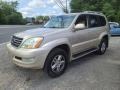Savannah Beige Metallic - GX 470 Photo No. 6