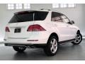 Polar White - GLE 350 Photo No. 16