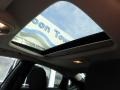 Billet Silver Metallic - Dart SXT Photo No. 20
