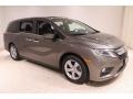 Pacific Pewter Metallic - Odyssey EX-L Photo No. 1