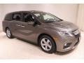 2019 Pacific Pewter Metallic Honda Odyssey EX-L  photo #1