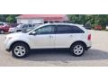 Ingot Silver Metallic - Edge SEL AWD Photo No. 2
