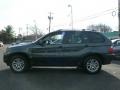 2006 Highland Green Metallic BMW X5 3.0i  photo #5