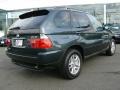 2006 Highland Green Metallic BMW X5 3.0i  photo #8