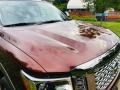 2017 Forged Copper Nissan TITAN XD Platinum Reserve Crew Cab 4x4  photo #9