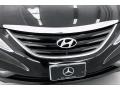 Phantom Black Metallic - Sonata GLS Photo No. 32