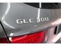 Selenite Grey Metallic - GLC 300 Photo No. 27
