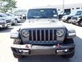 Sting-Gray - Gladiator Rubicon 4x4 Photo No. 2