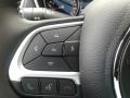 Ski Gray/Black Steering Wheel Photo for 2020 Jeep Compass #139023710