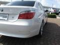 Alpine White - 5 Series 550i Sedan Photo No. 11