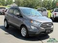 Smoke Metallic - EcoSport SE Photo No. 7