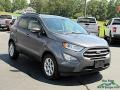 2020 Smoke Metallic Ford EcoSport SE  photo #7