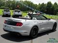 2020 Iconic Silver Ford Mustang EcoBoost Convertible  photo #5