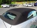 Iconic Silver - Mustang EcoBoost Convertible Photo No. 20