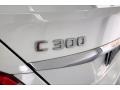 Polar White - C 300 Sedan Photo No. 27