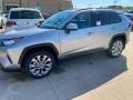 2020 Silver Sky Metallic Toyota RAV4 XLE Premium AWD  photo #1