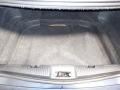 Charcoal Black Trunk Photo for 2009 Lincoln MKS #139043659