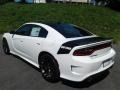 White Knuckle - Charger Daytona Photo No. 8