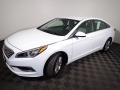 Quartz White Pearl - Sonata SE Photo No. 7