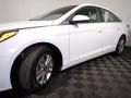 Quartz White Pearl - Sonata SE Photo No. 8