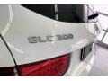 Polar White - GLC 300 Photo No. 27