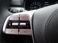 2021 Kia Telluride Black Interior Steering Wheel Photo